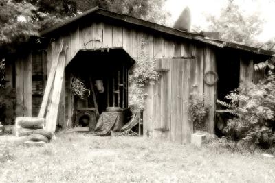 v3/58/582558/3/47022225.shed.jpg