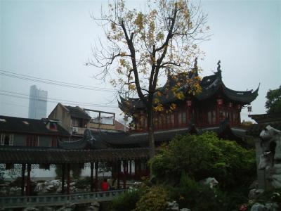 The past ,today and future of China.jpg
