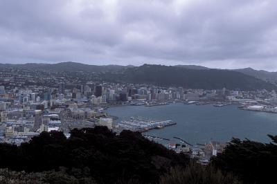 Wellington all city