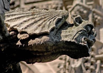 Gargoyle at the Cathedral