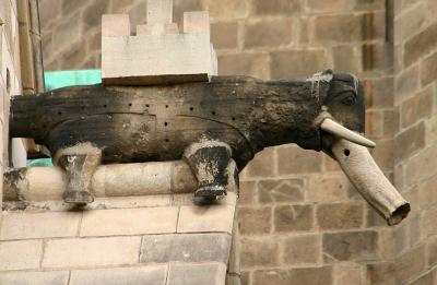Elephant downspout on Catedral Barri Gotic