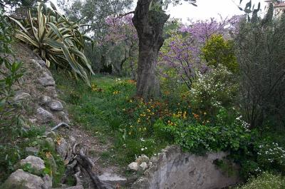 Provence Garden