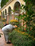 Erik shooting the tulips