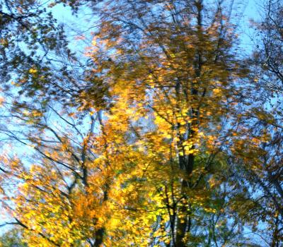 Wind
