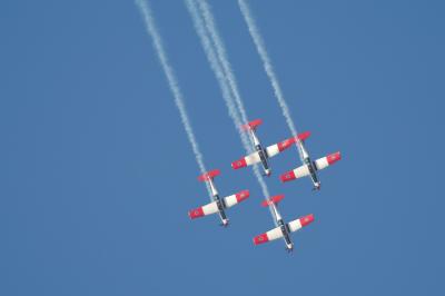 DSC_4627.jpg