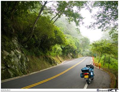 From Dayuling to Taroko, ride through the green woods.