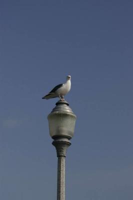 San_Clemente_1225.jpg