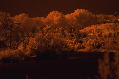 LagunaNiguelRegionalPark02