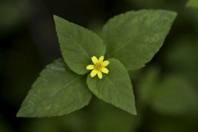 _IGP4621.jpg