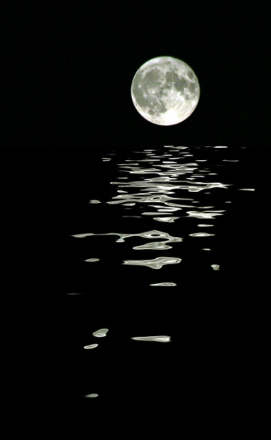 Moonlight shadow