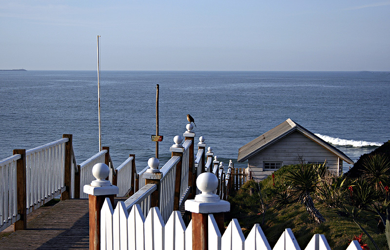 Mar del Plata