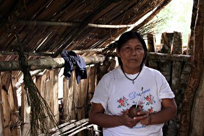 v3/59/472759/3/49317130.mujerguarani.jpg