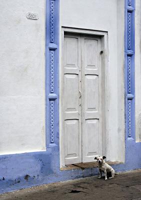 perro puerta azul cienfuegos.jpg