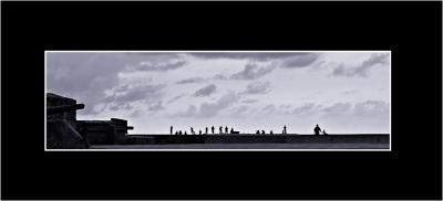 hormigas panoramica.jpg