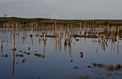 REFLEJOS CANTABRIA.jpg