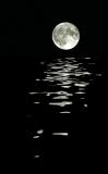 Moonlight shadow