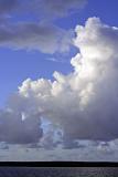 cumulus congestus