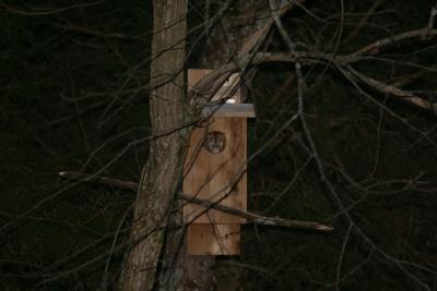 Owl Box Homeowner.JPG