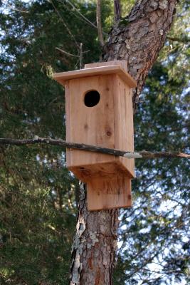 Owl Nesting Box.JPG