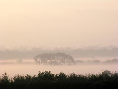  - 3rd September 2005 - Misty Morn