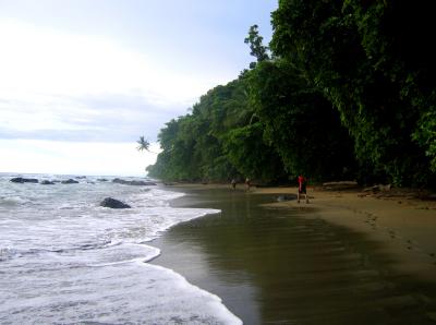 Beach in Osa.jpg