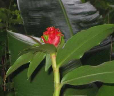 6.4.2005 038.jpg