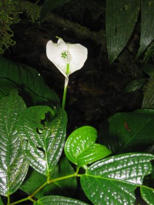 6.4.2005 047.jpg