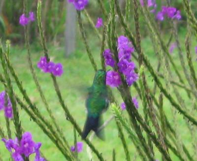 IMG_1602.jpg