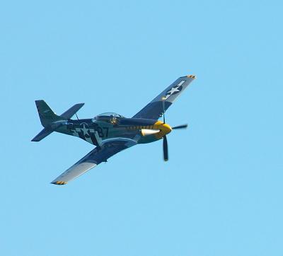 P51