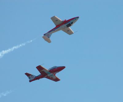 snowbirds soloists
