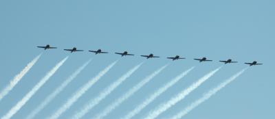 snowbirds all in a row
