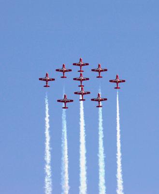 snowbirds reaching to the sky