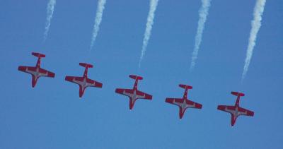 snowbirds