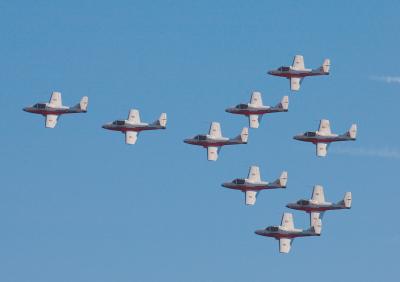snowbirds flyby
