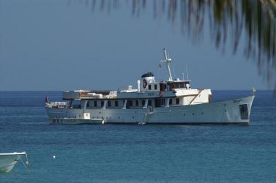 GRAND LEDO NEGRIL