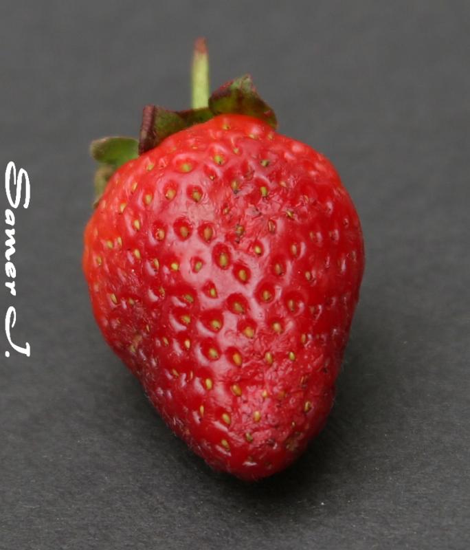 Strawberry.jpg