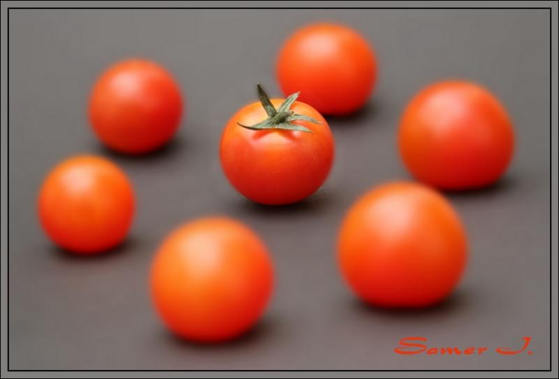 Tomatoes.JPG