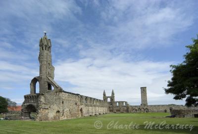 St Andrews Cathedral - DSC_4967.jpg