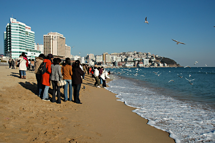 Haeundae Beach