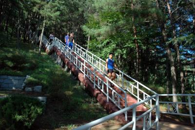 365 Steps