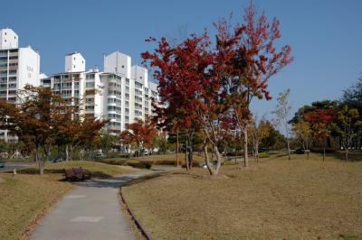 Apartments from Park