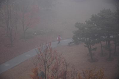 Jogger in Fog