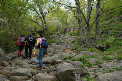 Trail
