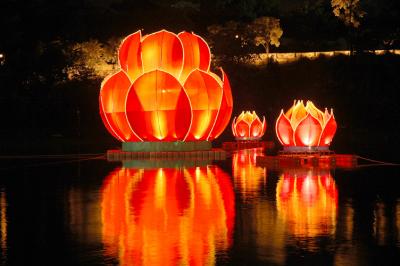 Lanterns on Namgang River