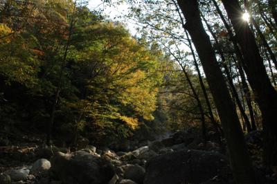 Creekbed Near Park Entrance