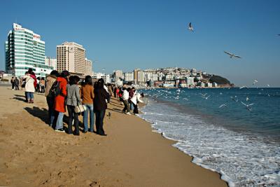 Haeundae Beach