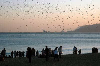 Dusk, Haeundae Beach