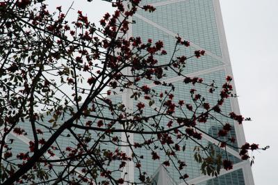 Bank of China