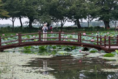 Photographer on Bridge