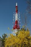 Tower on Mount Mangjin